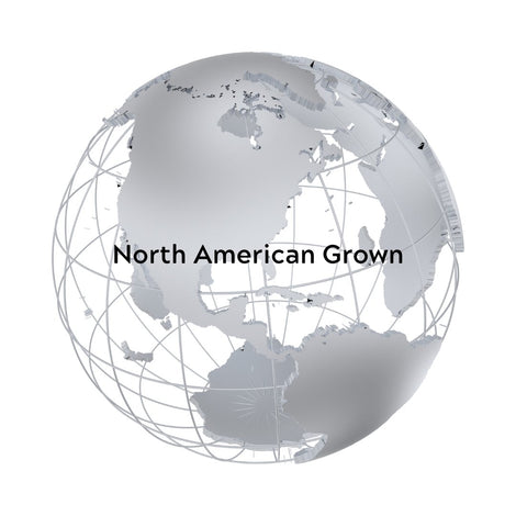 Yaupon-Canadian Herbal-North American Grown